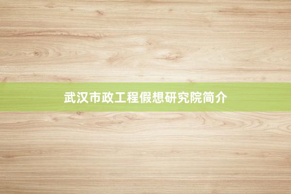 武汉市政工程假想研究院简介