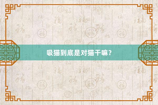 吸猫到底是对猫干嘛？